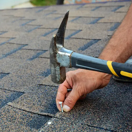 Asphalt shingle roof replacement on a Tampa home