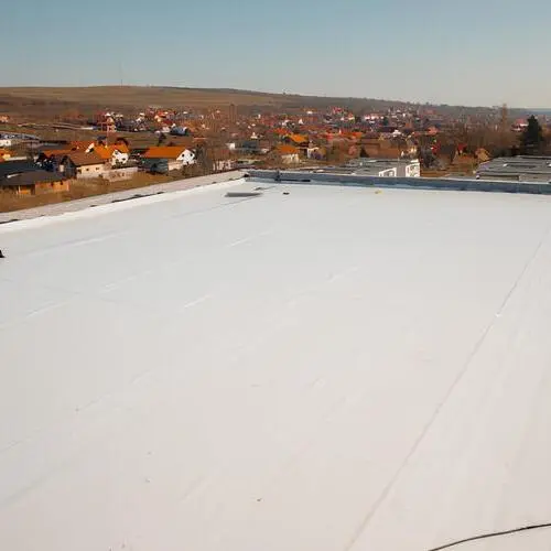 Silicone Roof Contractor